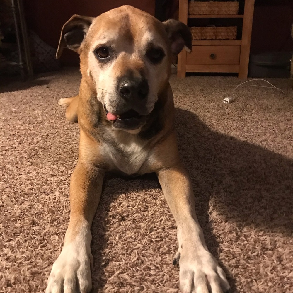 Meet your Posher, Shala